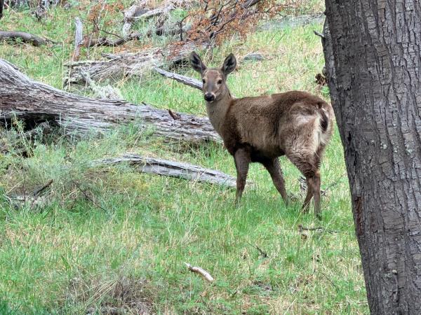 Patagonia yoga and walking holiday