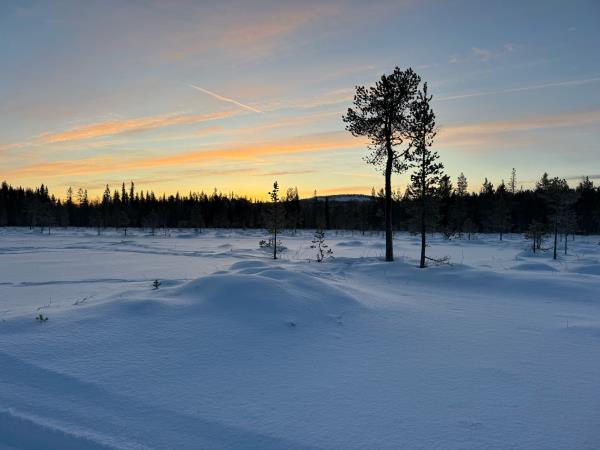 Finland wellness and winter activity holiday