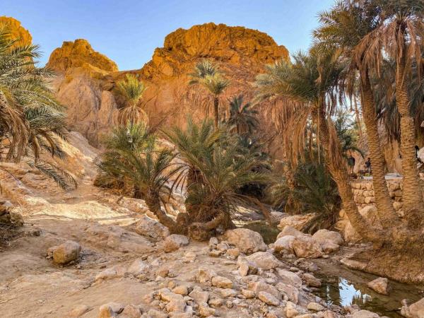 Tunisia 13 day tour