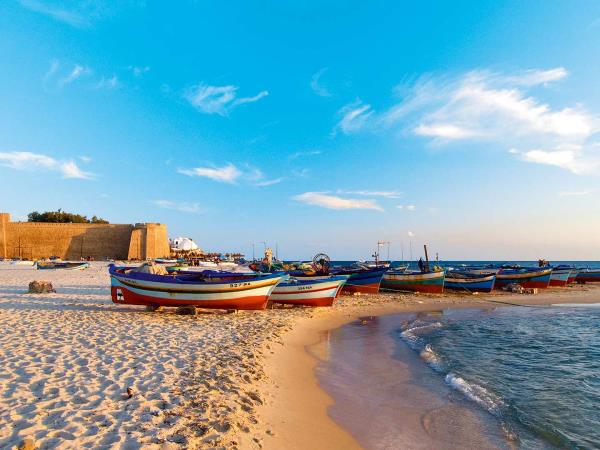 Tunisia summer small group tour
