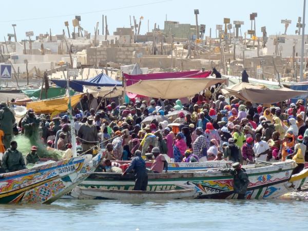 Senegal Saint Louis jazz festival tour 