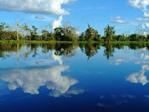 Brazil Amazon small ship cruise & Panatanal 