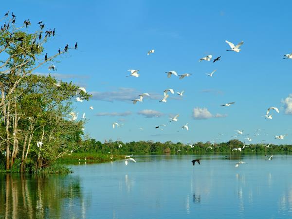 Brazil Amazon small ship cruise & Panatanal 