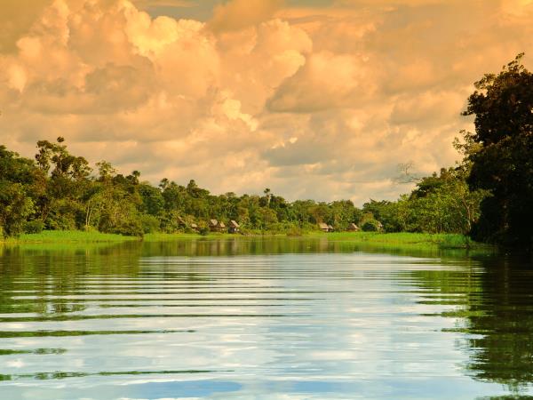 Brazil Amazon small ship cruise & Panatanal 