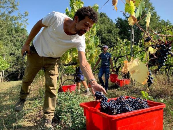 Tuscany & Umbria cultural tour