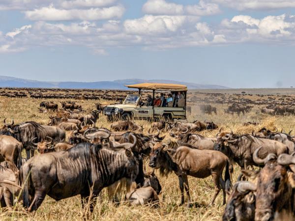 Kenya guided wildlife holiday
