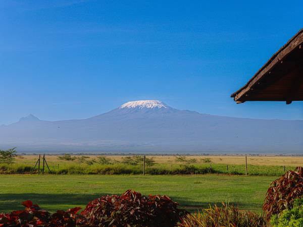 Kenya guided wildlife holiday