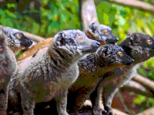 Comoros small group holiday