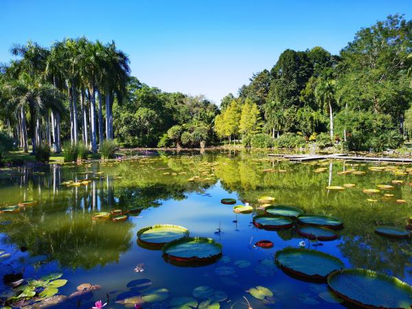Xishuangbanna holiday, wildlife & culture tour