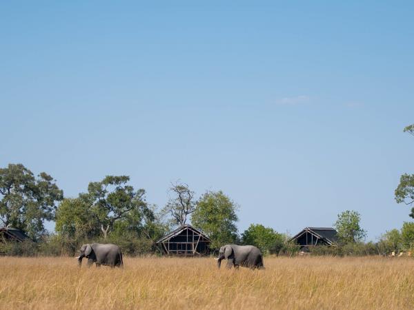 Botswana safari and Mozambique beach break
