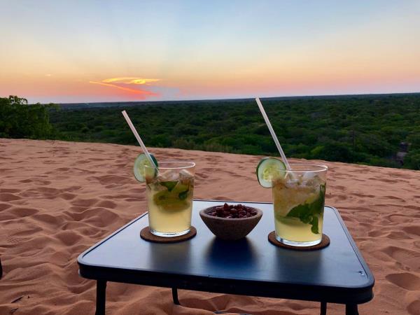 Botswana safari and Mozambique beach break