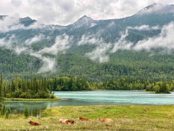 Northern Xinjiang 7 day tour in China