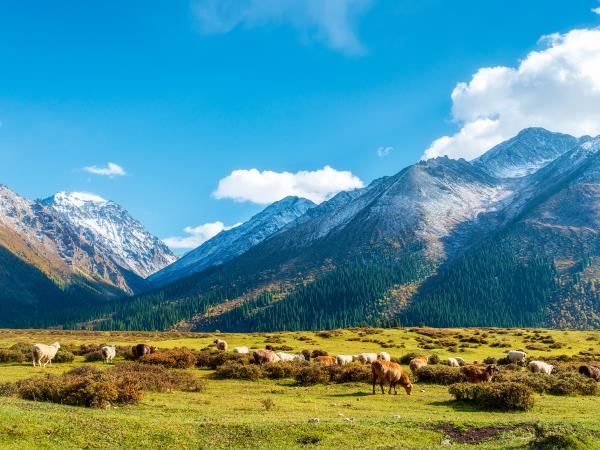 North to South Silk Road expedition holiday, China