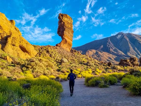 Tenerife and La Gomera walking holiday, Spain