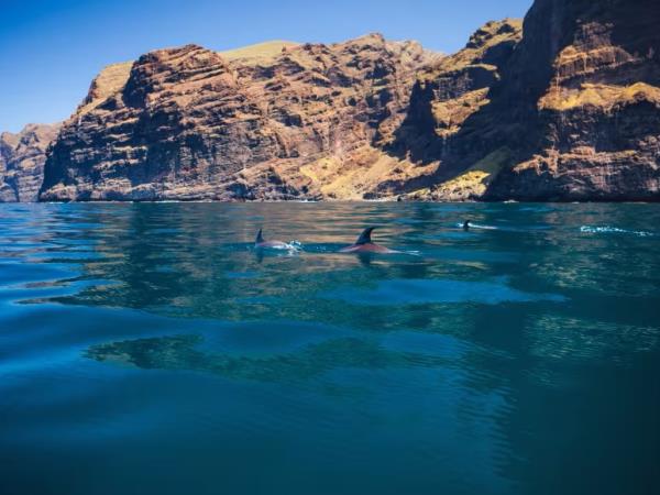 Tenerife and La Gomera walking holiday, Spain
