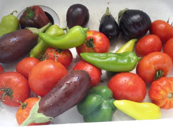 Peloponnese food and wine holiday in Greece
