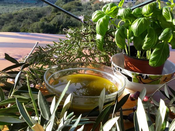 Peloponnese food and wine holiday in Greece