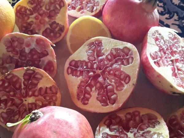 Peloponnese food and wine holiday in Greece