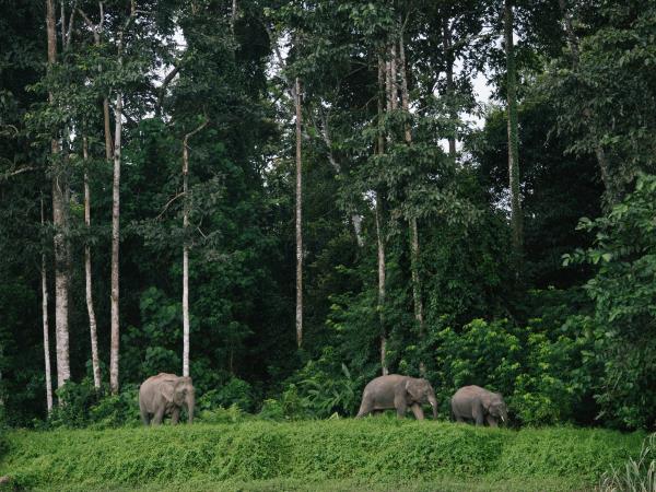 Cambodia nature and communities private tour
