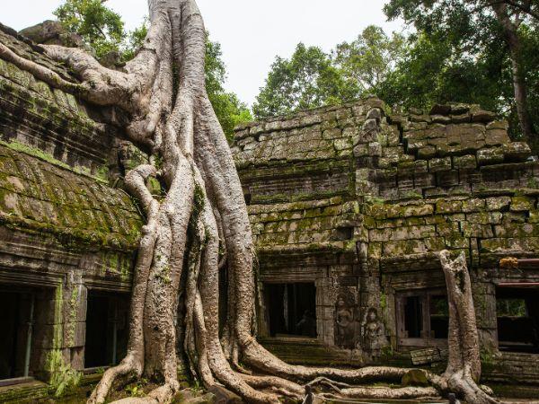 Cambodia nature and communities private tour