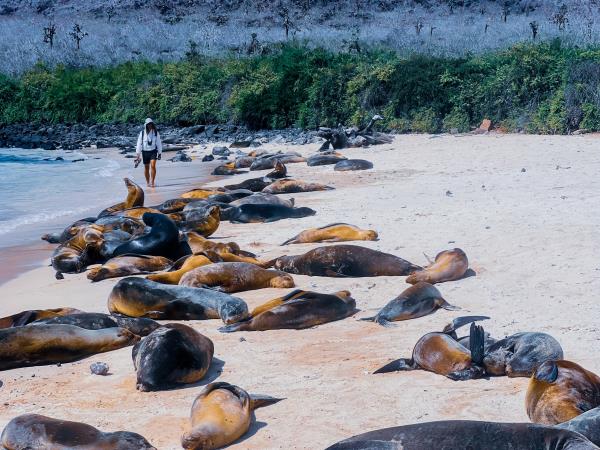 Galapagos cruise & island hopping holiday