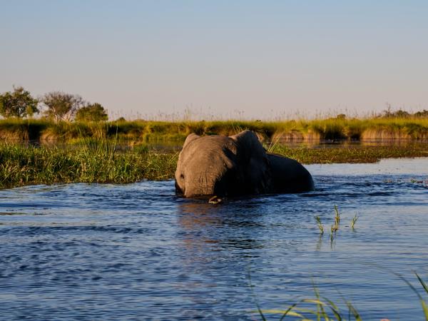 Botswana safari tour from desert to Delta and Falls 