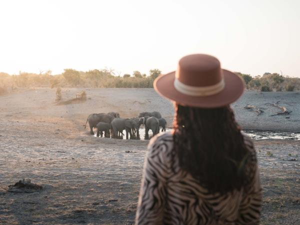 Botswana safari tour from desert to Delta and Falls 