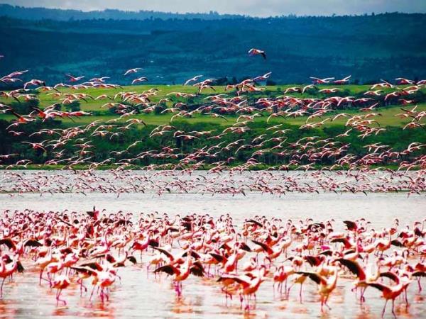 Kenya and Tanzania small group safari holiday