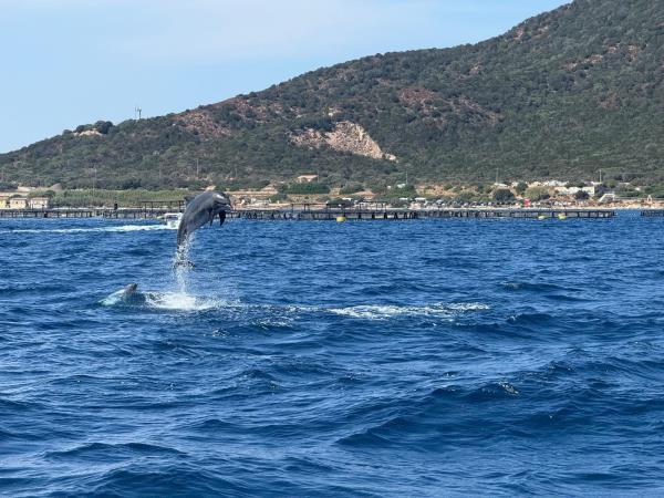 Sardinia and Corsica wellness sailing holiday