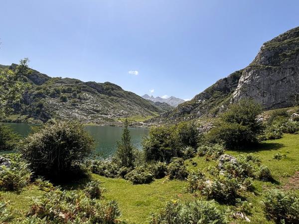 Northern Way and Picos de Europa walking holiday in Spain