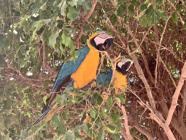 Colombia nature and adventure holiday