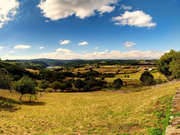 The French Way walking holiday, Sarria - Santiago