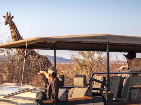 Family luxury safari & beach holiday, South Africa & Mozambique