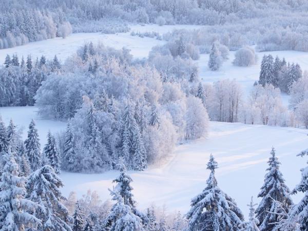 Christmas market holiday in Estonia