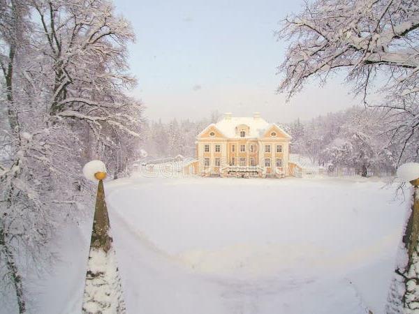 Christmas market holiday in Estonia