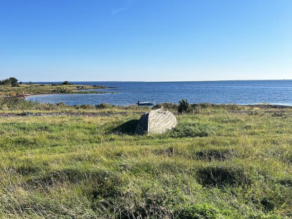 Estonia wildlife holiday, small group