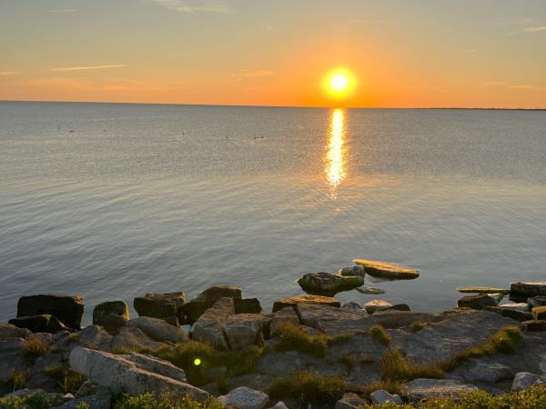 Estonia wildlife holiday, small group
