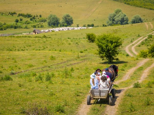 Carpathian nature and culture holiday, Romania