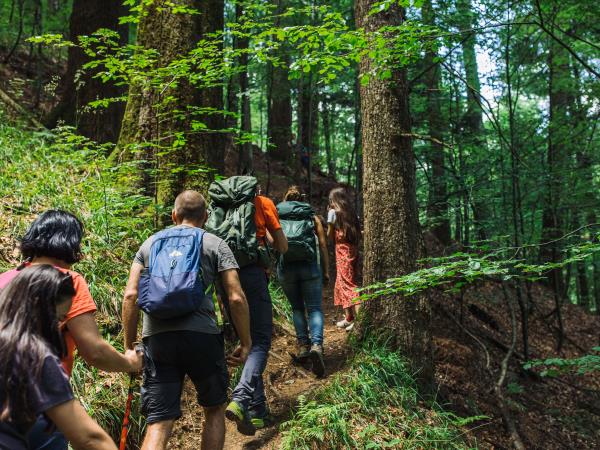 Carpathian Mountains wildlife holiday, Romania