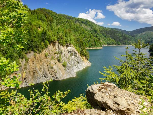 Carpathian Mountains wildlife holiday, Romania
