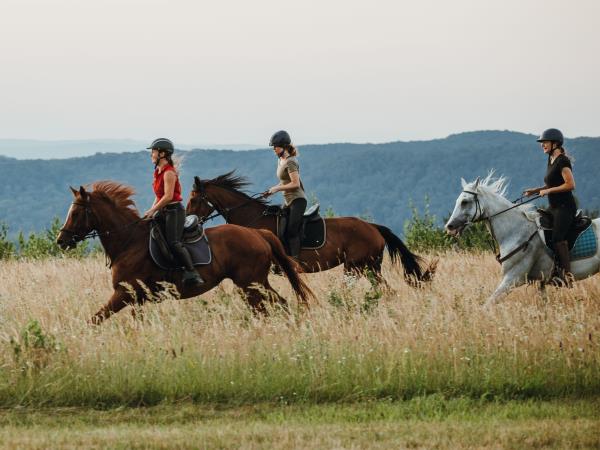 Transylvania trail riding holiday, Romania