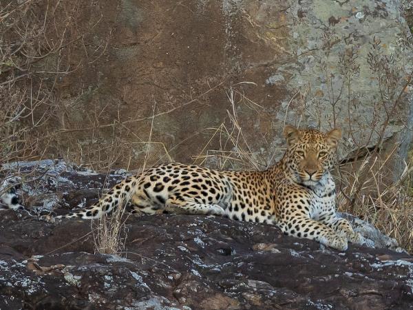 Kwa Zulu Natal safari, off the beaten track