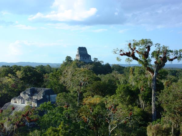 Guatemala and Belize family holiday
