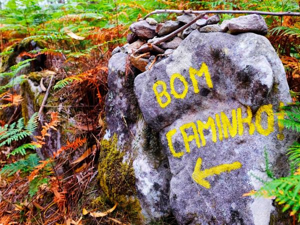 Walking the Portuguese Camino holiday, small group