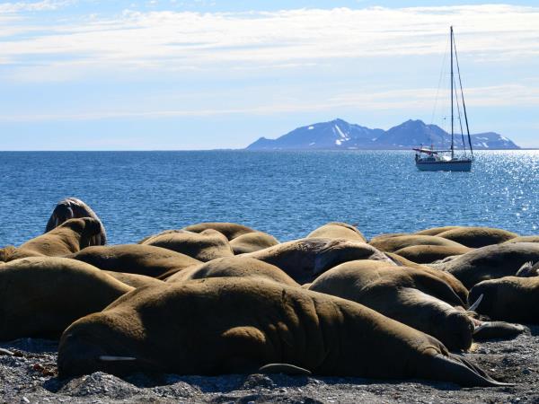 Remote Svalbard sailing expedition