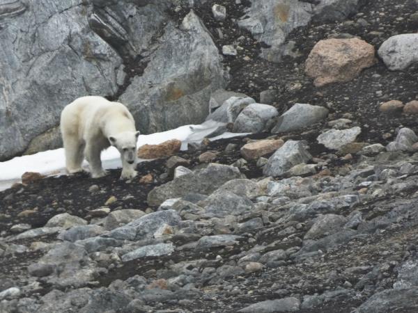 Remote Svalbard sailing expedition