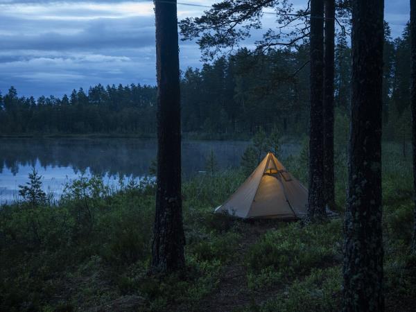 Sweden holidays, Wolves, Moose and Beavers