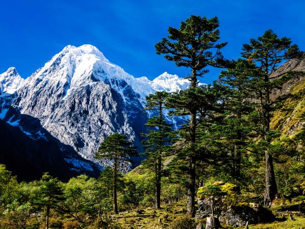 Meili North Slope glacier trek in Yunnan, China