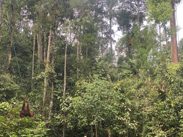 3 day cycle and kayak in Sarawak