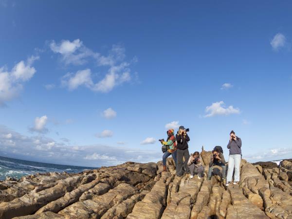Wildlife Photography Internship, South Africa